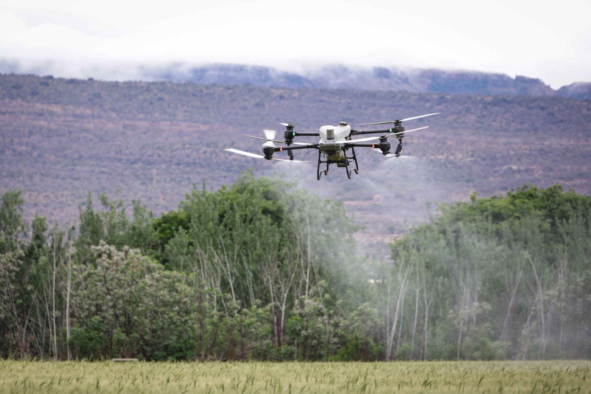 XAG P100 Pro agricultural drone spraying a rice field