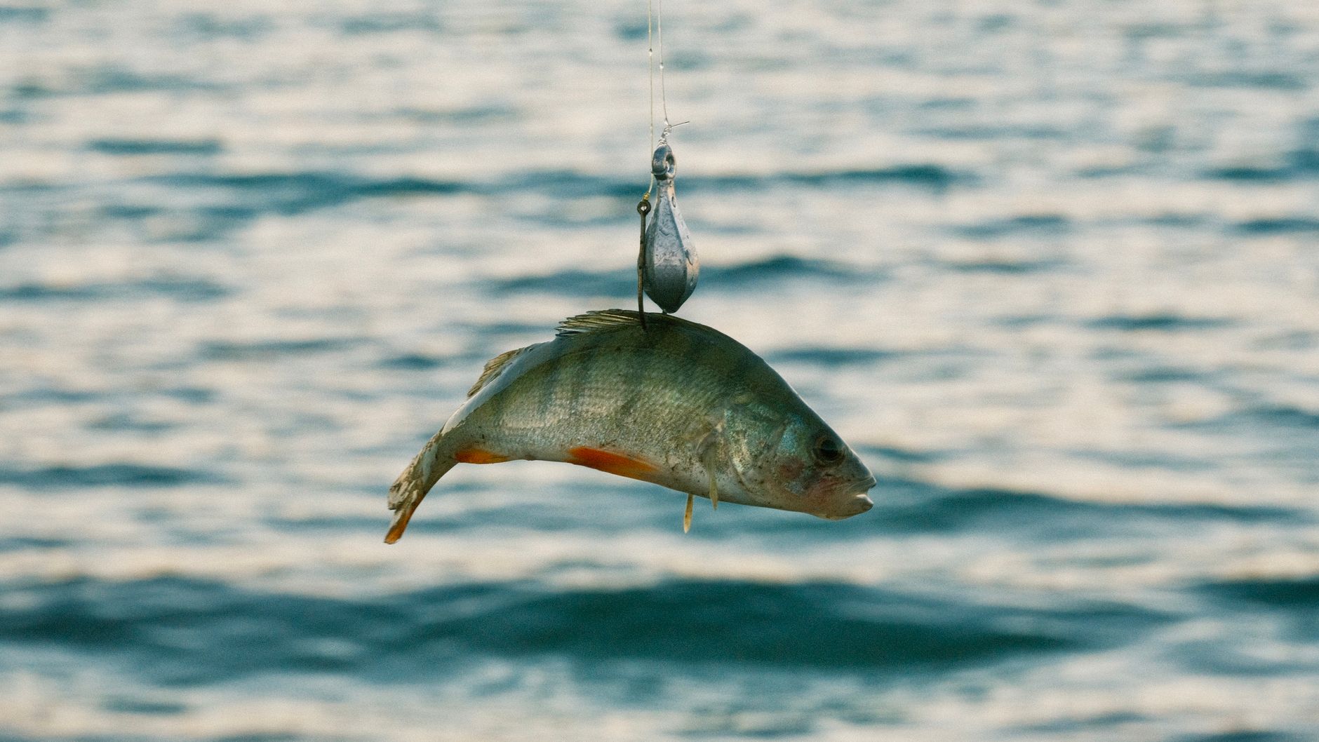 best fishing drones image