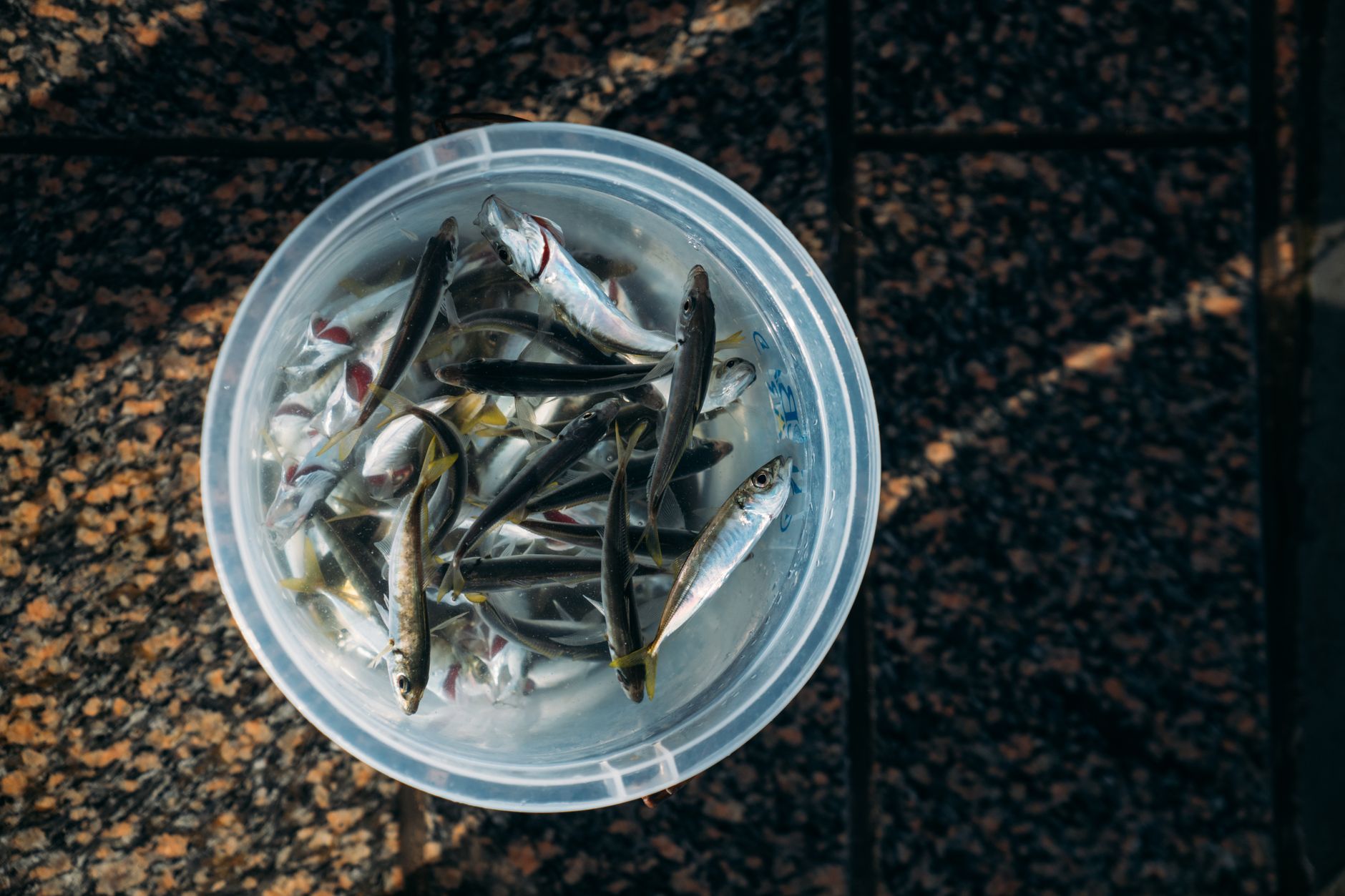 best fishing drones image